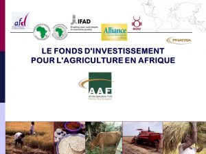 Le Fonds d'Investissement Agricole