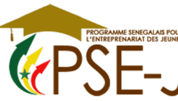 Appel à Candidatures-PSEJ 2020/cohorte du PSEJ