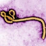 épidémie d’Ebola/virus Ebola