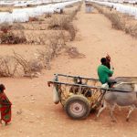 sécheresse dans la Corne de l'Afrique